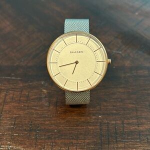 Skagen Stainless Steel Watch